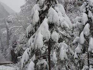 Appartement exclusif Villard de Lans