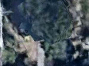 Pavillon 60m2 - 400m2 terrain - 270.000