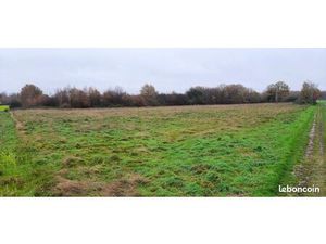 Terre agricole  pré animaux ...10614 m2