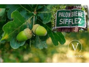 Terrain 60770 m² Castelnau-Tursan