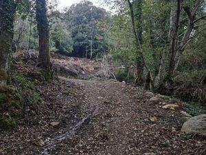 Terrain boisé de 8100 m2 Pietrapola Les Bains