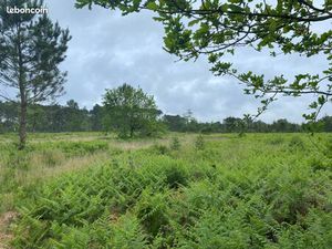 Terrain 500 m² Parentis En Born