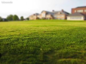 Recherche parcelle à acheter