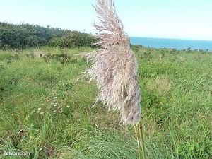 Terrain agricole ou de loisirs