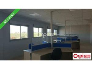Bureaux 101 m²