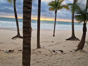 Petit restaurant  vente à emporter