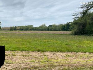 Propriété 3.75 ha (possible culture Bio)