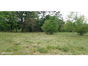 Terrain 1 600 m² Saint Barthelemy De Bellegarde