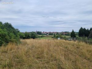 Terrain entre Eich et Rech les Sarralbes