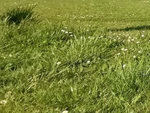 Terrain 1 100 m² Antonne Et Trigonant