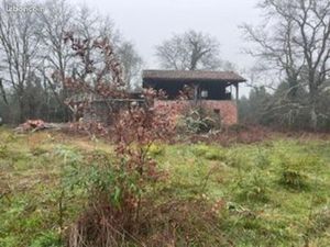Terrain boisé non constructible avec grange