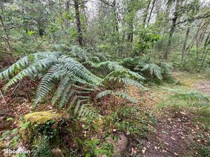 Terrain 129172 m² Le Vaudoué