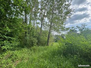 Terrain 129172 m² Noisy-sur-École