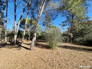 Terrain 953 m² Castelnau-le-Lez