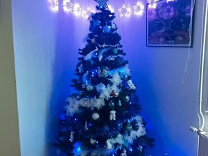 Location appartement ou maison