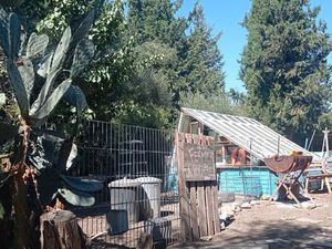 Emplacement sur terrain partagé