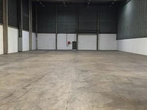 Local industriel 1 161 m²