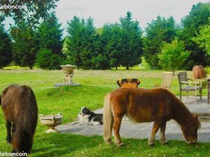 20000m2 maison  st Vicent de tyrosse