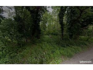 Parcelle boisée
