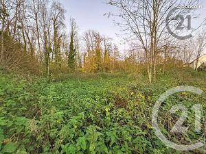 Terrain 5 221 m² Chalautre La Petite