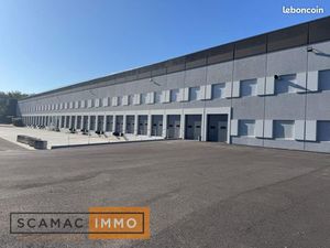 Local industriel 8 018 m²