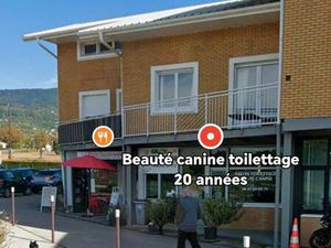 Toilettage canin local