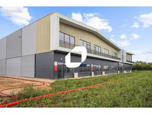Local d'activité 493 m²