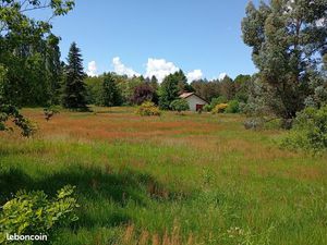 Maison dans la nature