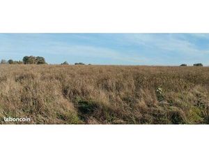 Terrain 11330 m² Vauvert