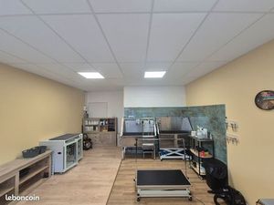 Local commercial Moliets