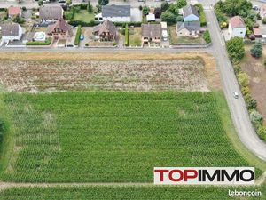 Terrain 451 m² Algolsheim
