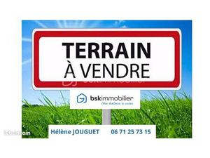 Terrain 9 990 m² Martigne Sur Mayenne