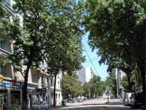 Special investisseur île verte