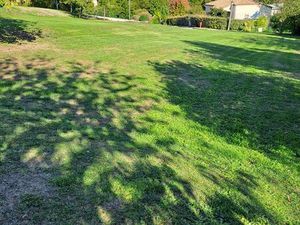 Terrain constructible