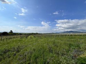 Terrain 742 m² Epfig