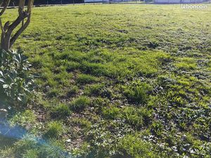 Vente terrain à bâtir