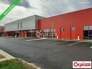 Local commercial 780 m²