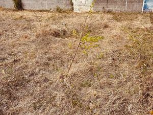 La rochelle terrain 534 m2