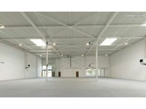 Local d'activité 1 321 m²