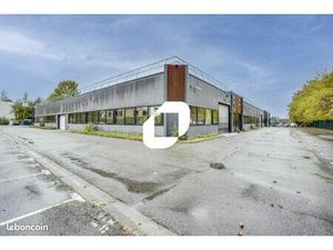 Local d'activité 567 m²