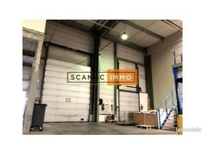 Local d'activité 1 129 m²