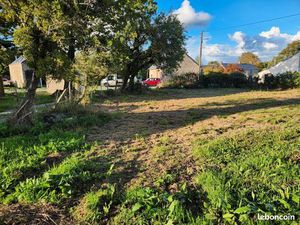 Terrain constructible