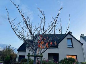 Vente Maison à Saint-Méloir-des-Ondes (35350) : à vendre / 125m² Saint-Méloir-des-Ondes