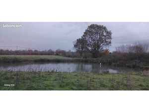 Terrain de loisirs avec petit étang