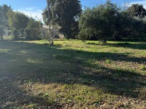 Terrain 531m2 Sorgues