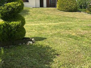 Maison availles limouzine