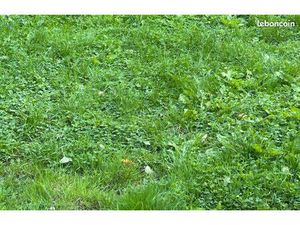 Terrain constructible 5500m2