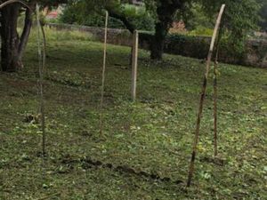 Vends terrain constructible