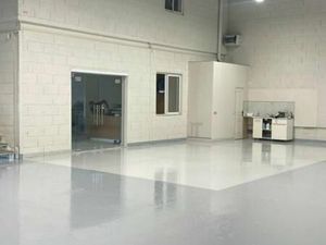 Local d'activité 439 m²