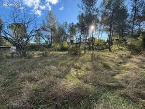 Terrain à bâtir plat et arboré au calme
